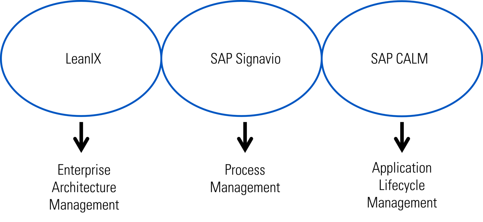 SAP ALM Transformation - Ausblick aus den DSAG-Thementagen