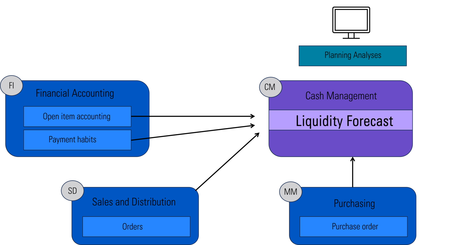 SAP Cash and Liquidity Management